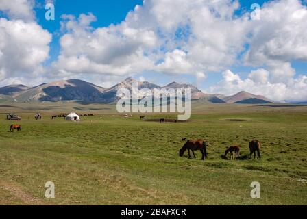 Steppe près du lac Songkol. Vaste pâturage avec chevaux de pâturage, yourte traditionnel et montagnes épiques en arrière-plan. Banque D'Images