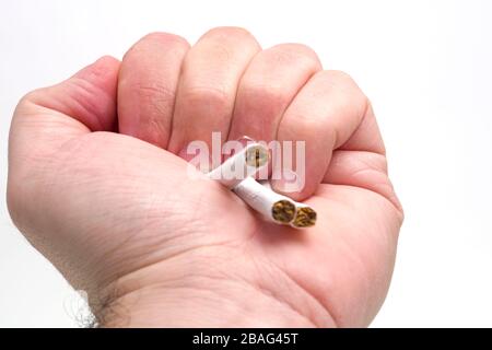 Main de l'homme écrasant les cigarettes sur un fond blanc Banque D'Images