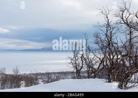 Vue depuis les pistes de ski de l'Hotel Fjallet, région de Lac Tornetrask gelé et enneigé, en Laponie suédoise, dans le nord de la Suède. Banque D'Images