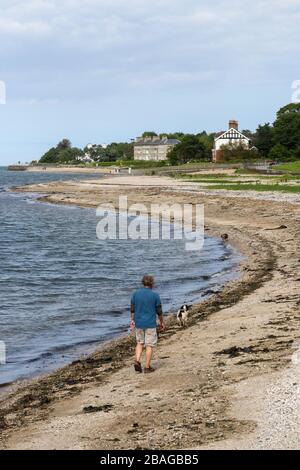 Homme marchant chien le long de la côte de Belfast Lough à Hollywood, comté vers le bas un après-midi d'été en juin soleil. Banque D'Images