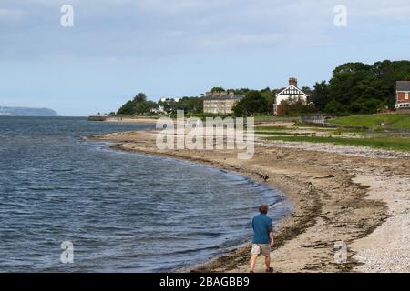 L'été sur Belfast Lough, homme marchant des chiens le long de la côte à Hollywood, County Down, Irlande du Nord. Banque D'Images