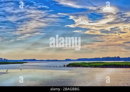 Pêche au Great Blue Heron sur un sandbar lors d'un beau coucher de soleil de Chesapeake Bay au Blackwater Wildlife refuge dans le Maryland Banque D'Images