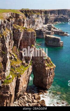 St Govans Head, Pembrokeshire Coast, Pembrokeshire, West Wales, Royaume-Uni Banque D'Images