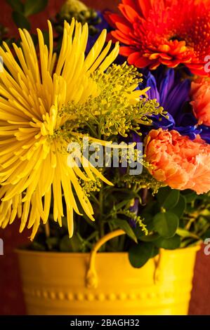 Fleurs multicolores, y compris mamans, chrysanthèmes, œillets dans un seau jaune Banque D'Images