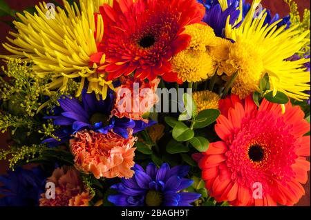 Fleurs multicolores, y compris mamans, chrysanthèmes, œillets Banque D'Images