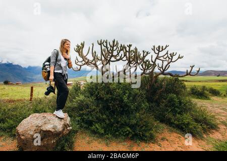 Une jeune femme avec un appareil photo est debout sur un rocher près d'un cactus au Pérou Banque D'Images