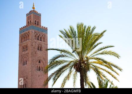 La mosquée Kutubiyya est située dans le quartier médina de Marrakech, au sud-ouest, près de la célèbre place de Jemaa el-Fna, et est bordée de grands jardins. Banque D'Images