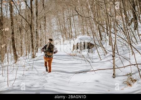 homme portant des promenades et des randonnées à travers des arbres et des bois enneigés Banque D'Images