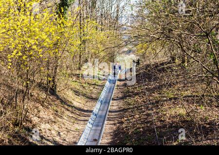 Un toboggan d'été a dessiné la colline sur Bissi-domb, Sopron, Hongrie Banque D'Images
