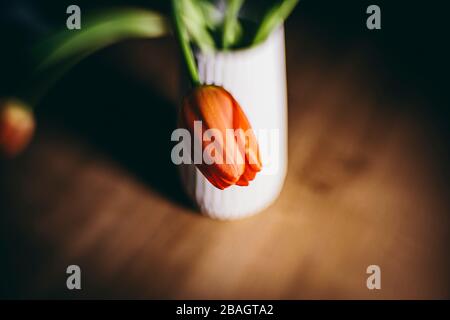 Fleur de tulipe orange fleurit sur un bouquet de fleurs intérieur encore Banque D'Images