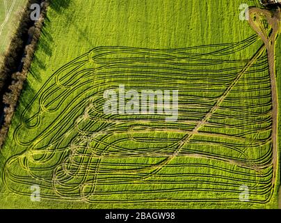 , Tractor Tracks in a field near Velbert, 29.01.2014, vue aérienne, Allemagne, Rhénanie-du-Nord-Westphalie, Bergisches Land, Velbert Banque D'Images