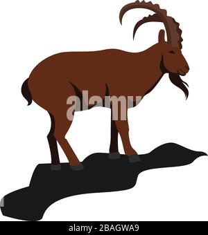 Chèvre de montagne, illustration, vecteur sur fond blanc Illustration de Vecteur