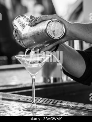 Gros plan de barman faisant un martini en noir et blanc Banque D'Images