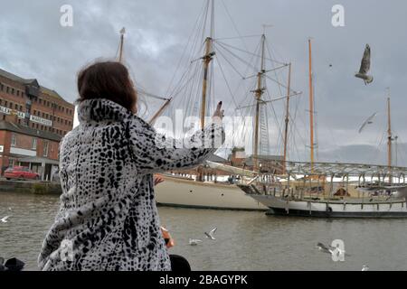 Lady dans un manteau de fourrure à pois jetant de la nourriture pour les Goélands à tête noire non-reproducteurs (Choicocephalus ridibundus) dans un port avec des bateaux à voile Banque D'Images