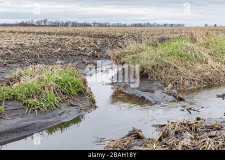 Inondations dans les champs agricoles et érosion du sol après de fortes pluies et des orages de printemps Banque D'Images