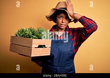 Jeune paysan afro-américain avec des cheveux bouclés portant une boîte de maintien de tablier avec des plantes stressées avec la main sur la tête, choqué avec la honte et la surprise Banque D'Images