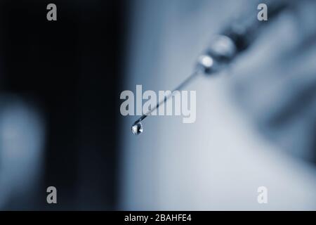 seringue avec une goutte de médicament, photo macro Banque D'Images