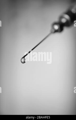 seringue avec une goutte de médicament, photo macro Banque D'Images