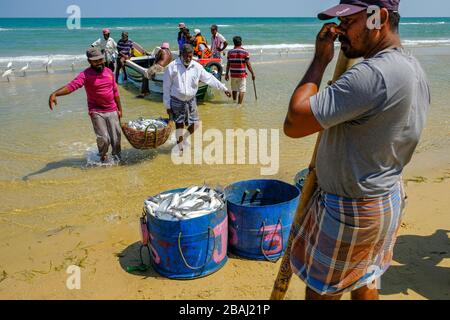 Talaimannar, Sri Lanka - février 2020: Pêcheurs transportant des poissons du bateau à la plage le 26 février 2020 à Talaimannar, Sri Lanka. Banque D'Images