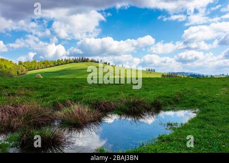beau temps ensoleillé avec des nuages au-dessus de la colline. reflet de flaque parmi l'herbe verte sur la prairie dans la ligth dapplée, forêt à la distance. super Banque D'Images