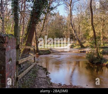 Un chemin à travers la Nouvelle forêt, Hampshire, Royaume-Uni au printemps avec une petite rivière à travers elle menant à une porte dans la distance Banque D'Images