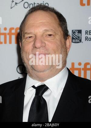 Toronto, Canada. 8 septembre 2013. TORONTO, ON - SEPTEMBRE 09: Harvey Weinstein arrive à la première "une chance" lors du Festival international du film de Toronto 2013 qui s'est tenu au Winter Garden Theatre le 9 septembre 2013 à Toronto, Canada. Personnes: Harvey Weinstein Banque D'Images