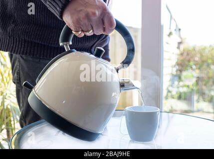 bouilloire électrique avec eau bouillante pour la tisane, main masculine qui verse de l'eau dans la tasse à thé. Sélectif concentré sur la bouilloire et versé te Banque D'Images