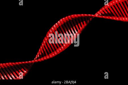 Modèle numérique en 3 dimensions de la structure de l'ADN, rendu en 3 dimensions Banque D'Images