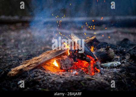 Feu de camp avec étincelles dans le camping extérieur forestier Banque D'Images