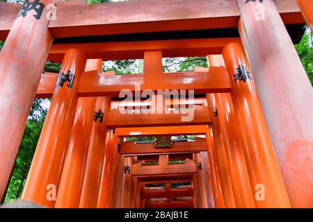 Portes Torri au sanctuaire de Fushimi Inari à Kyoto. Le sanctuaire est célèbre pour ses milliers de portes vermilion torii à la base Banque D'Images