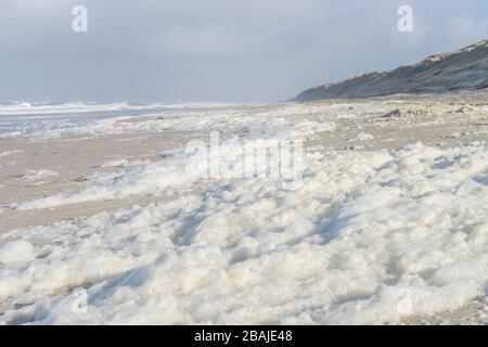 Beau paysage marin de l'île de Sylt avec mousse de mer par jour ensoleillé Banque D'Images