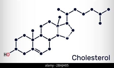 Molécule de cholestérol. C'est un stérol, stéroïde modifié, un type de lipide, trouvé dans les membranes cellulaires de tous les tissus du corps. Formule chimique structurelle. Illustration de Vecteur