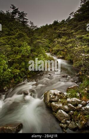 Whakapapanui Ruisseau, Parc National de Tongariro, île du Nord, Nouvelle-Zélande Banque D'Images