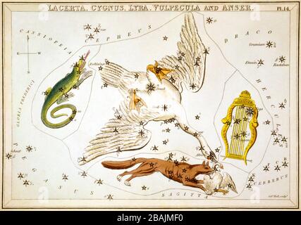 Lacerta, Cygnus, Lyra, Vulpecula et Anser, carte céleste, partie de l’ensemble miroir d’Urania, une vue des cieux, gravée par la salle Sidney, publiée pour la première fois en 1824 Banque D'Images