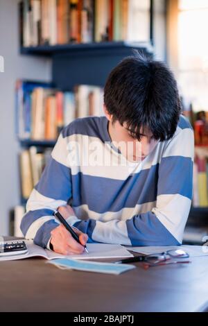 Un étudiant d'université étudiant à la maison Banque D'Images