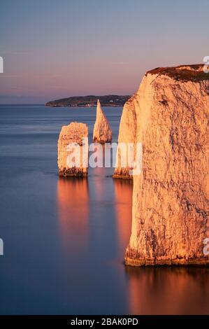 Les pinacles de Ballard, Swanage, Dorset, Angleterre Banque D'Images