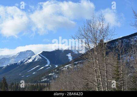 Vue sur la colline de ski dans les montagnes Rocheuses Banque D'Images