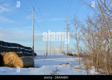 Grandes cabanes de foin sur un champ de la ferme de Snowy en hiver Banque D'Images