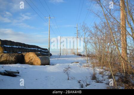 Grandes cabanes de foin sur un champ de la ferme de Snowy en hiver Banque D'Images