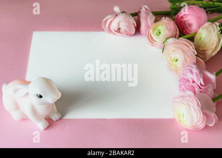 Jolie carte de vœux rose avec espace blanc pour le texte, décorée avec un bouquet tendre de ranunculus frais ou de buttercup. Ranunculus asiaticus ou Buttercup p Banque D'Images
