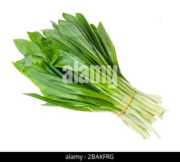 paquet d'ail sauvage frais (ramson) découpé sur fond blanc Banque D'Images