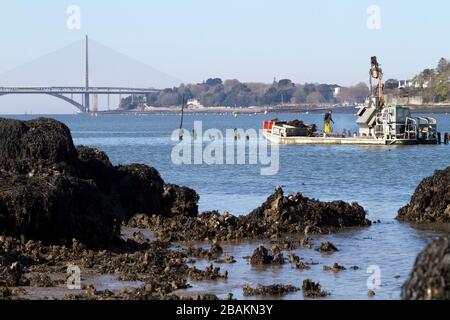 Vue sur les pontes de l'Iroise et Albert Louppe dépis les rives de l'Elorn à Plougastel dans la rade de Brest Banque D'Images