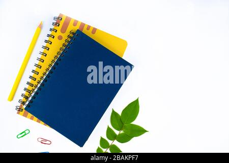 Différents trombones de couleur, deux agendas, un crayon de bois jaune et une feuille verte avant un fond de papier Banque D'Images