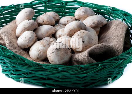 champignons dans le panier en osier Banque D'Images