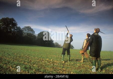 Pheasant pousse près du chemin Dyke d'Offa dans le Shropshire Royaume-Uni 1990 Banque D'Images