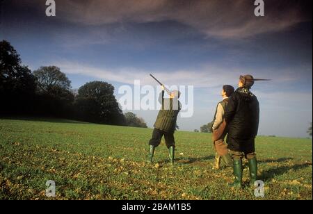 Pheasant pousse près du chemin Dyke d'Offa dans le Shropshire Royaume-Uni 1990 Banque D'Images