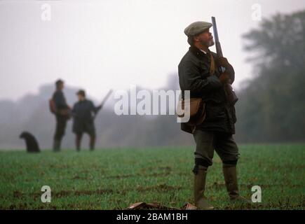 Pheasant pousse près du chemin Dyke d'Offa dans le Shropshire Royaume-Uni 1990 Banque D'Images