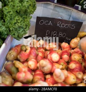 La racine de l'oca à vendre sur le marché des agriculteurs Banque D'Images