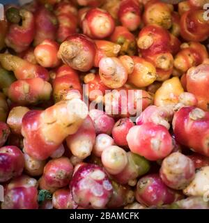 La racine de l'oca à vendre sur le marché des agriculteurs Banque D'Images