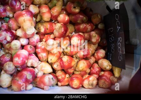 La racine de l'oca à vendre sur le marché des agriculteurs Banque D'Images